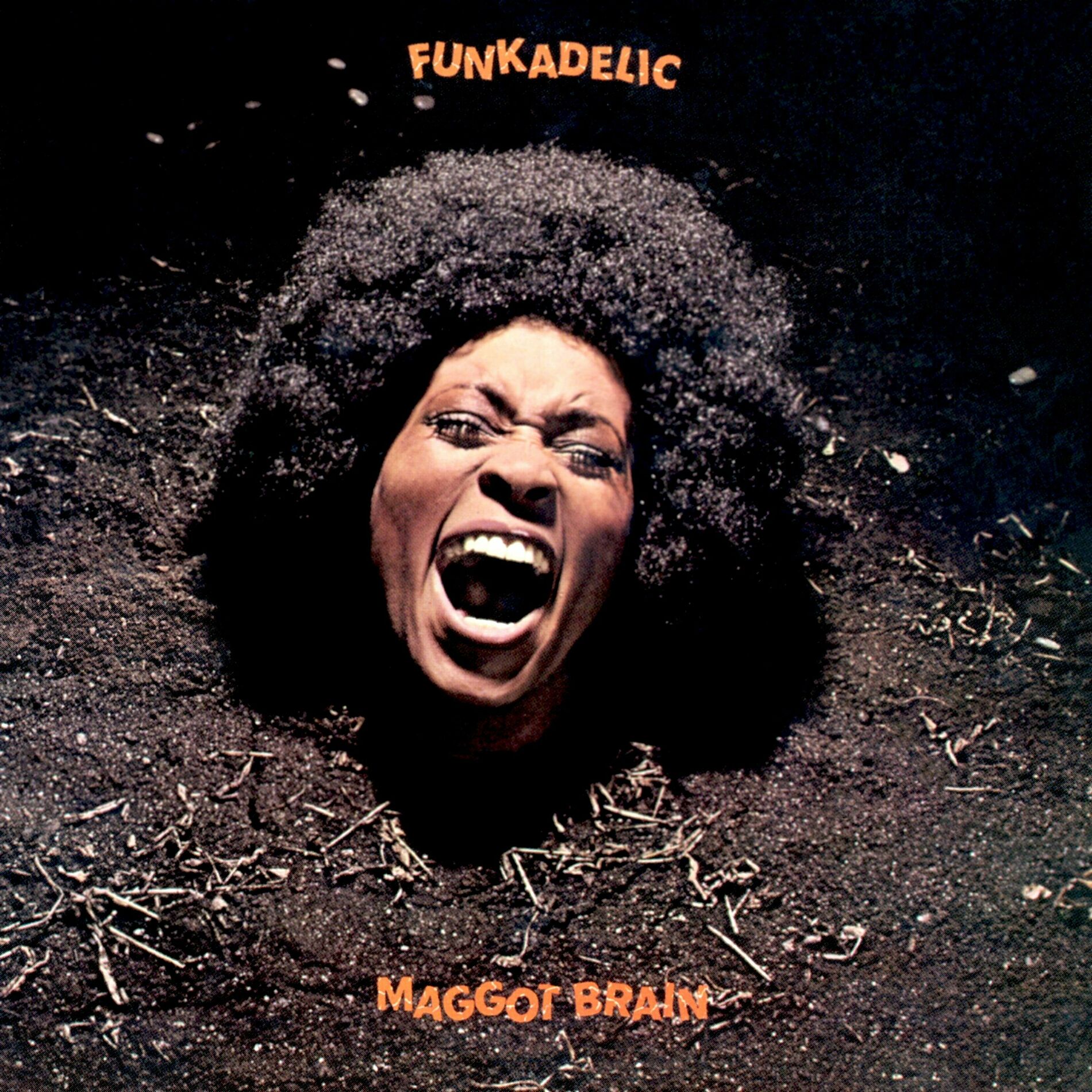 Maggot Brain Album Art